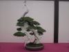 1380-PICT0158   